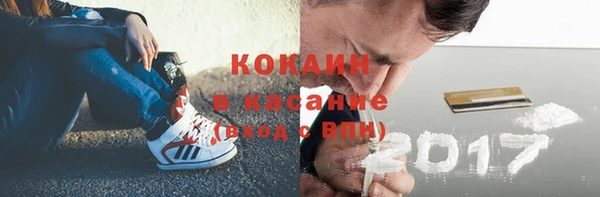 твердый Арсеньев